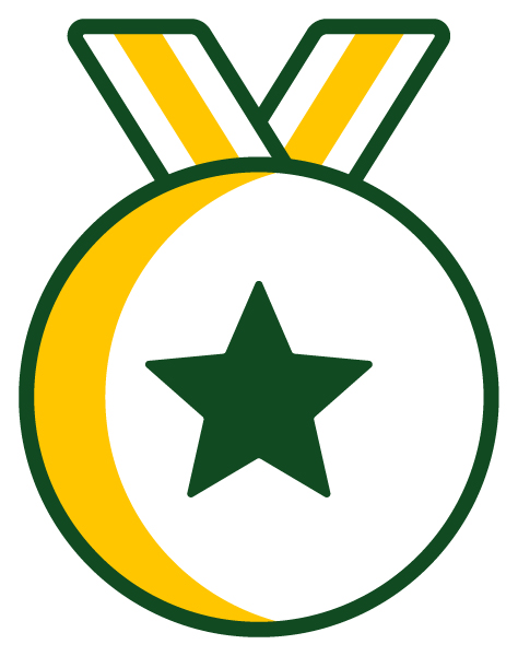 Star medal icon